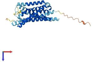 AlphaFold protein structure predicition of Mouse Recombinant Gpr35 Protein, UniprotID Q9ES90