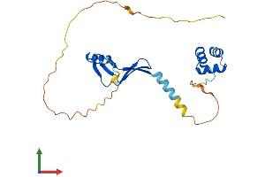AlphaFold protein structure predicition of Human Recombinant NACA Protein, UniprotID Q13765