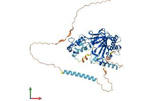 AlphaFold protein structure predicition of Human Recombinant P4HTM Protein, UniprotID Q9NXG6