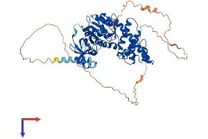AlphaFold protein structure predicition of Human Recombinant GLYR1 Protein, UniprotID Q49A26