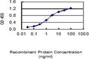 Detection limit for recombinant GST tagged CDH26 is 0. (CDH26 anticorps  (AA 1-165))