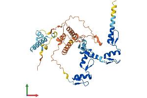 AlphaFold protein structure predicition of Human Recombinant ZNF793 Protein, UniprotID Q6ZN11