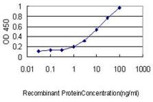 Detection limit for recombinant GST tagged RAB4A is approximately 0.