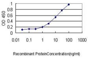 Detection limit for recombinant GST tagged RAB4A is approximately 0. (Rab4 anticorps  (AA 1-218))