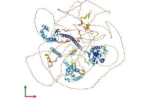 AlphaFold protein structure predicition of Mouse Recombinant Nfrkb Protein, UniprotID Q6PIJ4