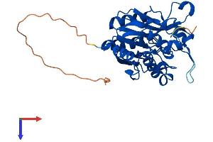 AlphaFold protein structure predicition of Mouse Recombinant Nit1 Protein, UniprotID Q8VDK1