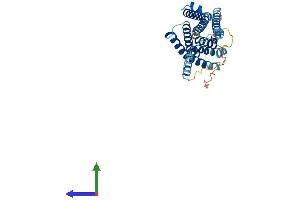AlphaFold protein structure predicition of Human Recombinant MRGPRX3 Protein, UniprotID Q96LB0