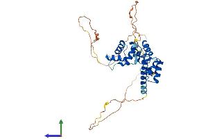 AlphaFold protein structure predicition of Human Recombinant PAX4 Protein, UniprotID O43316