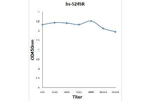 Formalin-fixed and paraffin embedded mouse embryo labeled with Rabbit Anti phospho-Cdc25B (Ser353) Polyclonal Antibody, Unconjugated (ABIN756982) at 1:200 followed by conjugation to the secondary antibody and DAB staining (CDC25B anticorps  (pSer353))
