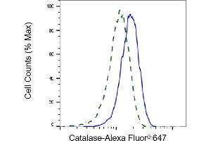 Validation of Catalase knockdown using flow cytometry. (Recombinant Catalase anticorps)