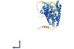 AlphaFold protein structure predicition of Human Recombinant SLC1A6 Protein, UniprotID P48664