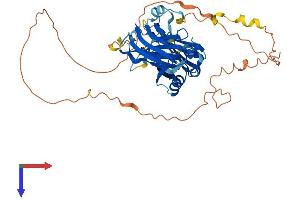 AlphaFold protein structure predicition of Mouse Recombinant Syt17 Protein, UniprotID Q920M7