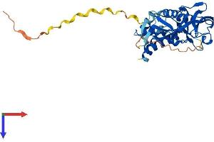 AlphaFold protein structure predicition of Human Recombinant GIPC3 Protein, UniprotID Q8TF64