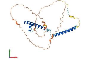 AlphaFold protein structure predicition of Human Recombinant SWI5 Protein, UniprotID Q1ZZU3