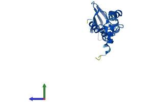 AlphaFold protein structure predicition of Human Recombinant MRPS25 Protein, UniprotID P82663