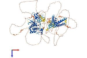 AlphaFold protein structure predicition of Human Recombinant ULK2 Protein, UniprotID Q8IYT8