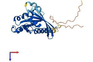 AlphaFold protein structure predicition of Mouse Recombinant Rab19 Protein, UniprotID P35294