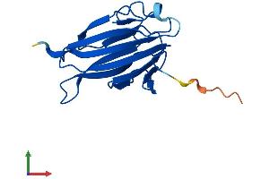 AlphaFold protein structure predicition of Mouse Recombinant Tifab Protein, UniprotID Q8JZM6