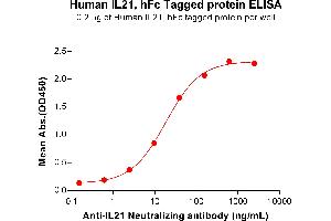 Interleukin 21 (IL21) (AA 30-162) protein (Fc Tag)