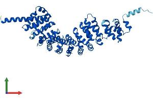 AlphaFold protein structure predicition of Mouse Recombinant Spag6 Protein, UniprotID Q9JLI7