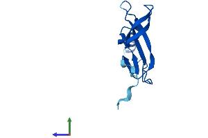 AlphaFold protein structure predicition of Human Recombinant RPL36A Protein, UniprotID P83881