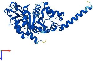 AlphaFold protein structure predicition of Human Recombinant GDPD1 Protein, UniprotID Q8N9F7