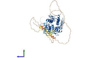 AlphaFold protein structure predicition of Human Recombinant ZFP37 Protein, UniprotID Q9Y6Q3