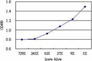 PDCD6IP (Human) Matched Antibody Pair
