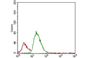 Flow Cytometry (FACS) image for anti-Acid Phosphatase 5, Tartrate Resistant (ACP5) (AA 221-325) antibody (ABIN1846241)