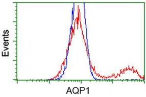 HEK293T cells transfected with either RC205304 overexpress plasmid (Red) or empty vector control plasmid (Blue) were immunostained by anti-AQP1 antibody (ABIN2454187), and then analyzed by flow cytometry. (Aquaporin 1 anticorps)