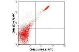 Flow Cytometry (FACS) image for anti-CD8b Molecule Pseudogene (CD8BP) antibody (FITC) (ABIN2661850) (CD8b.2 anticorps  (FITC))