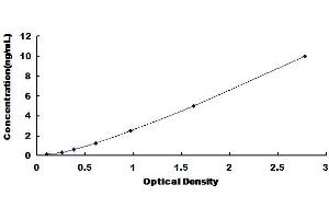 ELISA image for Transient Receptor Potential Cation Channel, Subfamily M, Member 6 (TRPM6) ELISA Kit (ABIN435650)
