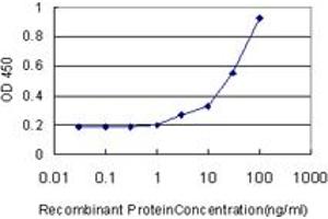 Detection limit for recombinant GST tagged DCN is approximately 1ng/ml as a capture antibody. (Decorin anticorps  (AA 1-359))