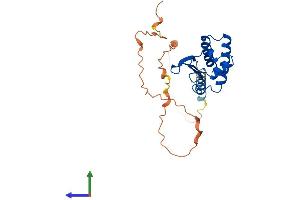 AlphaFold protein structure predicition of Mouse Recombinant Btg3 Protein, UniprotID P50615