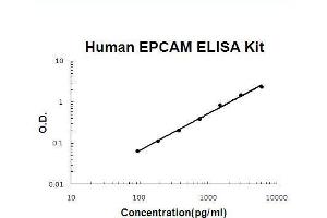Human EPCAM PicoKine ELISA Kit standard curve (EpCAM Kit ELISA)