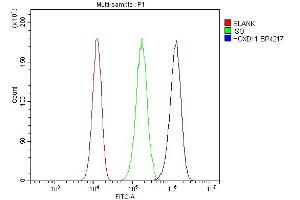 Flow Cytometry analysis of 293T cells using anti-HOXD11 antibody (ABIN7603174).