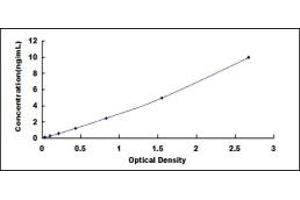 Typical standard curve (WNT9B Kit ELISA)