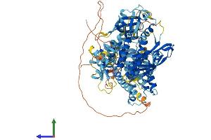AlphaFold protein structure predicition of Mouse Recombinant Abr Protein, UniprotID Q5SSL4