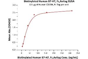 Immobilized Human CD28H, Fc Tag (ABIN5526603,ABIN5526604) at 5 μg/mL (100 μL/well) can bind Biotinylated Human B7-H7, Fc,Avitag (ABIN5955002,ABIN6253641) with a linear range of 5-78 ng/mL (QC tested).