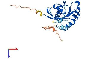 AlphaFold protein structure predicition of Mouse Recombinant Rab3b Protein, UniprotID Q9CZT8