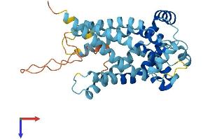 AlphaFold protein structure predicition of Human Recombinant SLC25A37 Protein, UniprotID Q9NYZ2