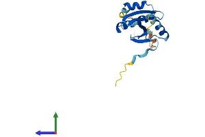 AlphaFold protein structure predicition of Mouse Recombinant Tsen15 Protein, UniprotID Q8R3W5