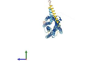 AlphaFold protein structure predicition of Mouse Recombinant Ackr2 Protein, UniprotID O08707