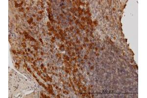 Image no. 1 for anti-BCL2-Associated Athanogene (BAG1) (AA 241-346) antibody (ABIN598553) (BAG1 anticorps  (AA 241-346))