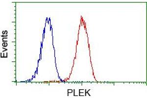 Image no. 1 for anti-Pleckstrin (PLEK) antibody (ABIN1500266) (Pleckstrin anticorps)