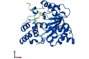 AlphaFold protein structure predicition of Mouse Recombinant Sult2a1 Protein, UniprotID P52843
