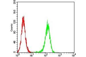 Flow cytometric analysis of Jurkat cells using CD205 mouse mAb (green) and negative control (red).