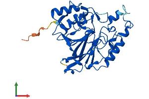 AlphaFold protein structure predicition of Mouse Recombinant Mpped2 Protein, UniprotID Q9CZJ0