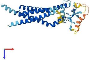 AlphaFold protein structure predicition of Mouse Recombinant Cd37 Protein, UniprotID Q61470