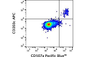 Flow cytometry multicolor staining pattern of human IgE-stimulated PBMC stained using anti-human CD107a (H4A3) Pacific Blue and anti-human CD203c (NP4D6) APC. (ENPP3 anticorps  (APC))